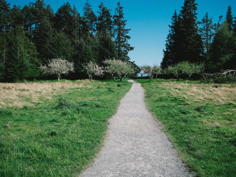 黑胶唱片<br>sybmuzg.cn 爵士蓝调夜晚